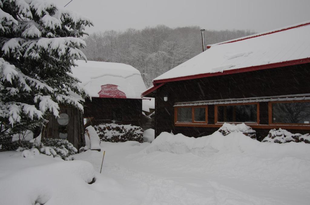 Goryo Guesthouse Furano Exterior photo